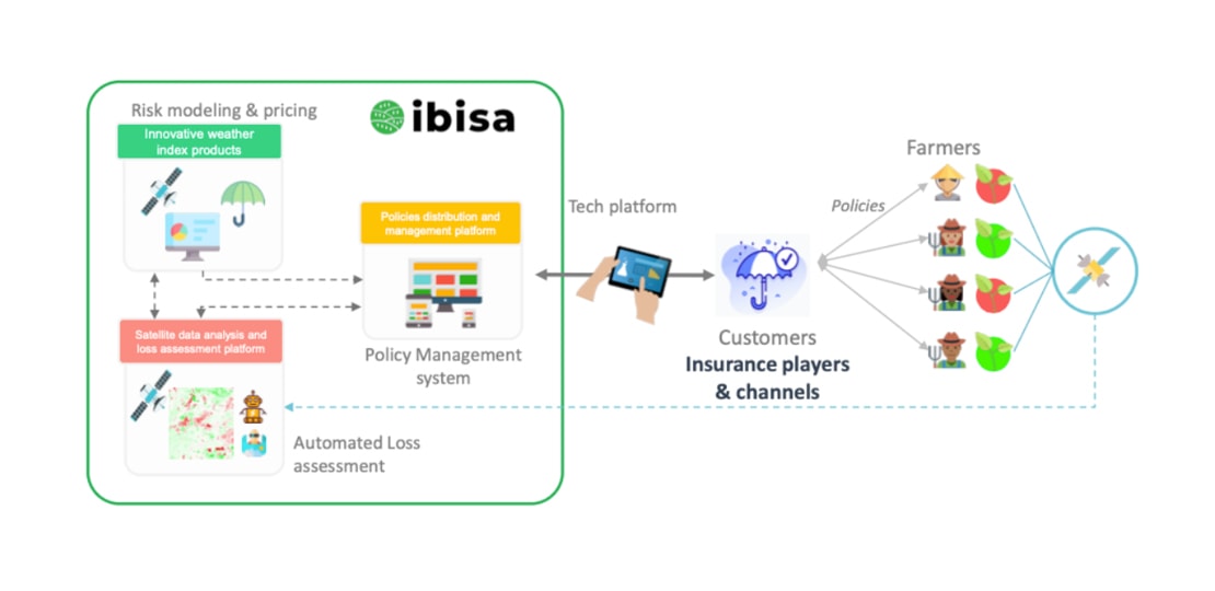 how Ibisa works